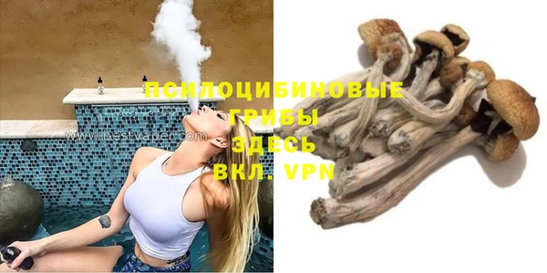 мяу мяу мука Абаза