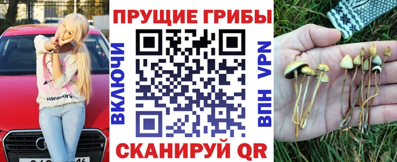 купить закладку площадка формула Псилоцибиновые грибы прущие грибы Талдом